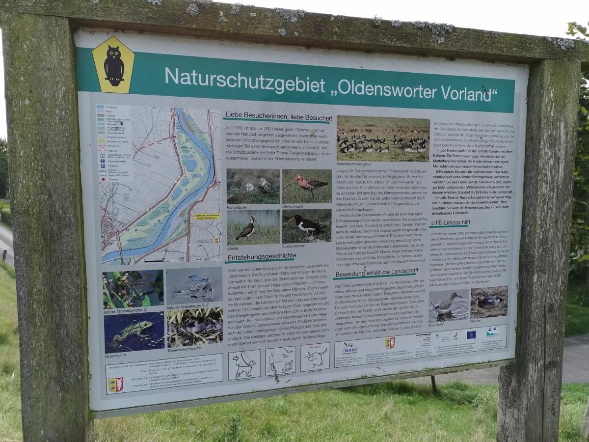Gaestehaus Hemmerdeich-Alte Schule Oldenswort Zewnętrze zdjęcie